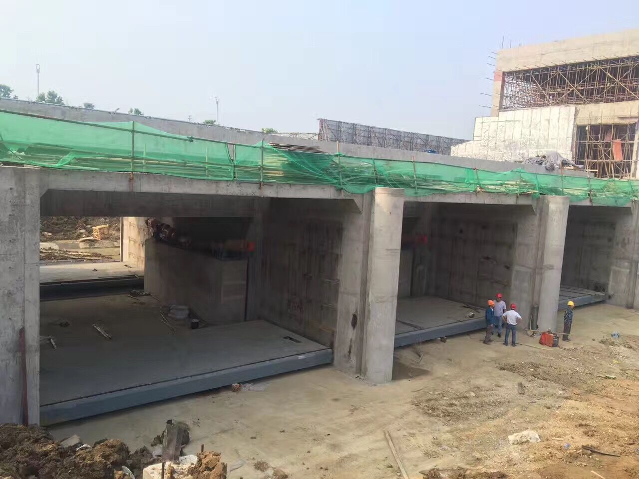 平面钢香蕉视频IOS在线观看